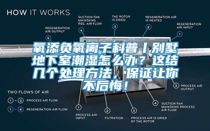 氧添負(fù)氧離子科普丨別墅地下室潮濕怎么辦？這結(jié)幾個處理方法，保證讓你不后悔！
