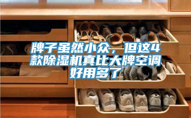 牌子雖然小眾，但這4款除濕機(jī)真比大牌空調(diào)好用多了