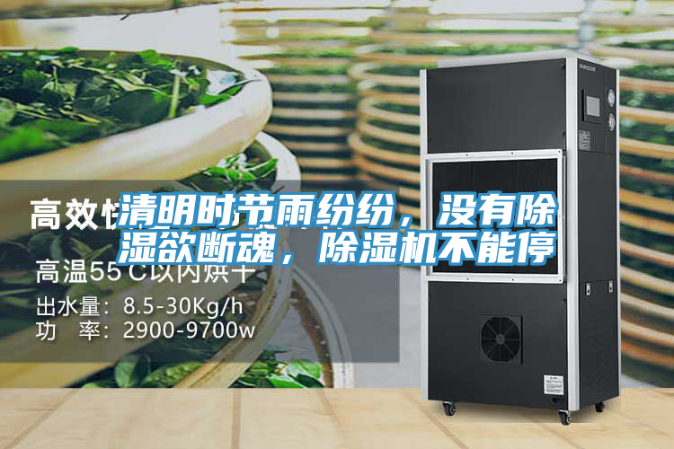 清明時(shí)節(jié)雨紛紛，沒有除濕欲斷魂，除濕機(jī)不能停