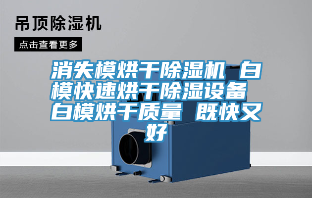 消失模烘干除濕機 白?？焖俸娓沙凉裨O(shè)備 白模烘干質(zhì)量 既快又好