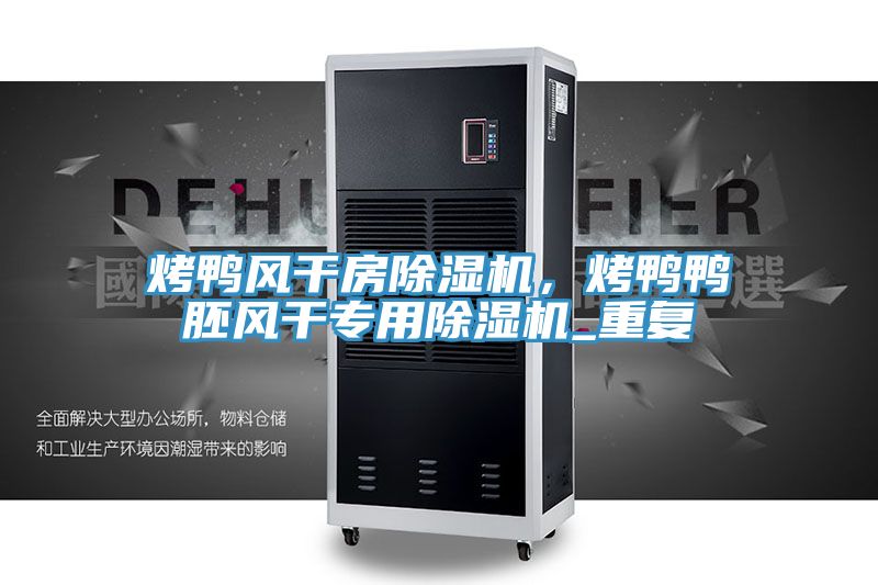 烤鴨風(fēng)干房除濕機(jī)，烤鴨鴨胚風(fēng)干專用除濕機(jī)_重復(fù)
