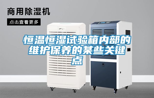 恒溫恒濕試驗箱內部的維護保養(yǎng)的某些關鍵點