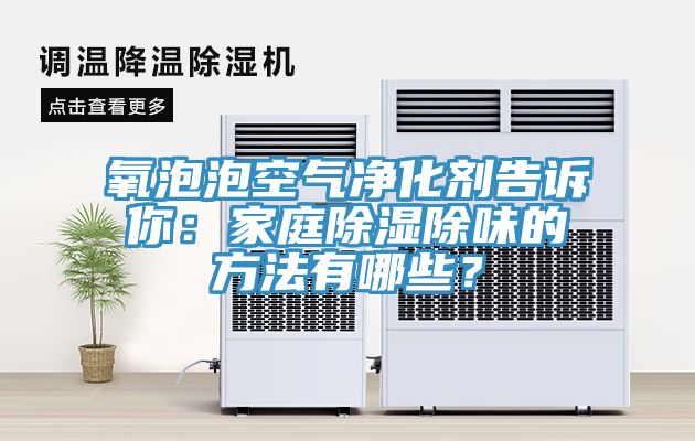 氧泡泡空氣凈化劑告訴你：家庭除濕除味的方法有哪些？