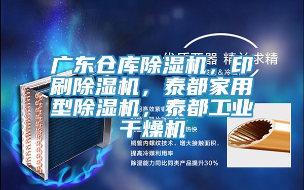 廣東倉(cāng)庫(kù)除濕機(jī)，印刷除濕機(jī)，泰都家用型除濕機(jī)，泰都工業(yè)干燥機(jī)