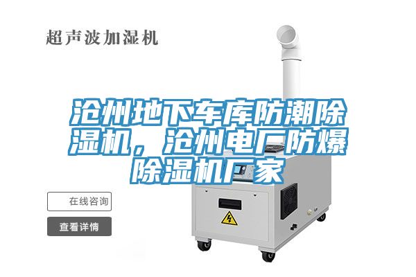 滄州地下車庫防潮除濕機(jī)，滄州電廠防爆除濕機(jī)廠家