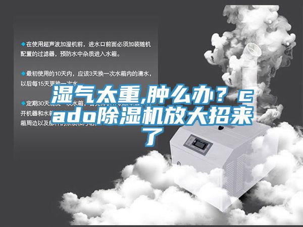 濕氣太重,腫么辦？cado除濕機(jī)放大招來了
