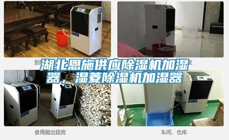 湖北恩施供應(yīng)除濕機(jī)加濕器，濕菱除濕機(jī)加濕器