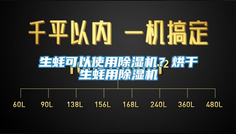 生蠔可以使用除濕機？烘干生蠔用除濕機