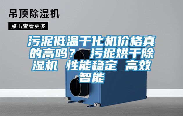 污泥低溫干化機(jī)價格真的高嗎？ 污泥烘干除濕機(jī) 性能穩(wěn)定 高效智能