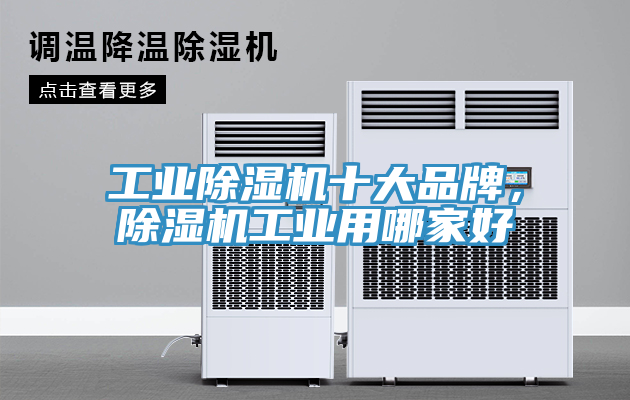 工業(yè)除濕機(jī)十大品牌，除濕機(jī)工業(yè)用哪家好