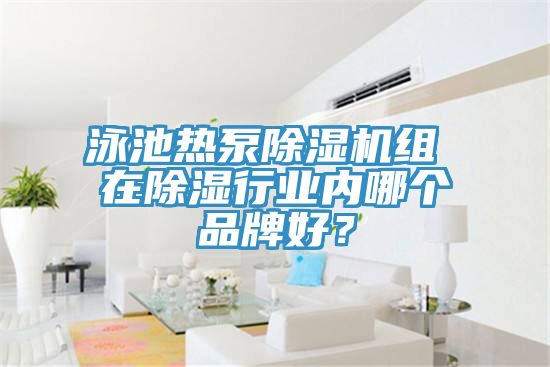 泳池?zé)岜贸凉駲C(jī)組 在除濕行業(yè)內(nèi)哪個品牌好？