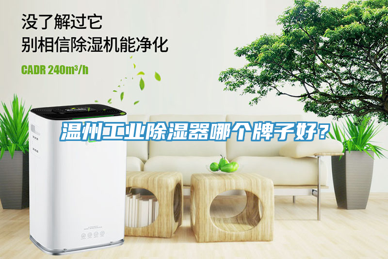 溫州工業(yè)除濕器哪個(gè)牌子好？