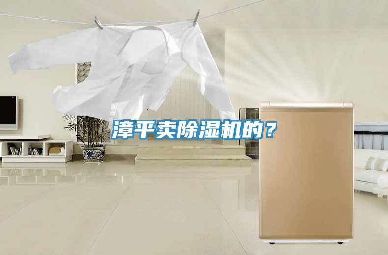 漳平賣除濕機(jī)的？