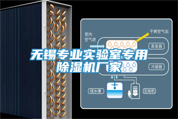無錫專業(yè)實(shí)驗(yàn)室專用除濕機(jī)廠家