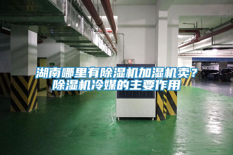 湖南哪里有除濕機(jī)加濕機(jī)賣？除濕機(jī)冷媒的主要作用