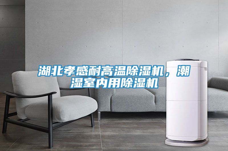 湖北孝感耐高溫除濕機(jī)，潮濕室內(nèi)用除濕機(jī)