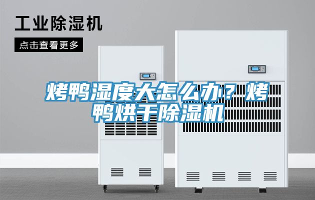 烤鴨濕度大怎么辦？烤鴨烘干除濕機(jī)