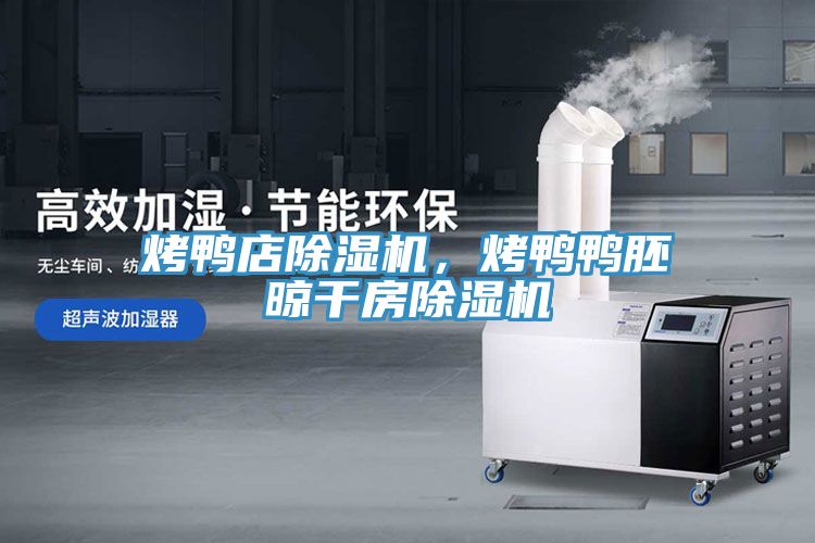 烤鴨店除濕機(jī)，烤鴨鴨胚晾干房除濕機(jī)