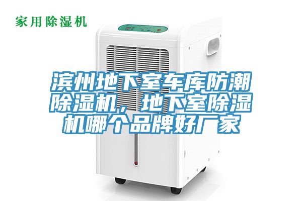 濱州地下室車庫防潮除濕機(jī)，地下室除濕機(jī)哪個(gè)品牌好廠家