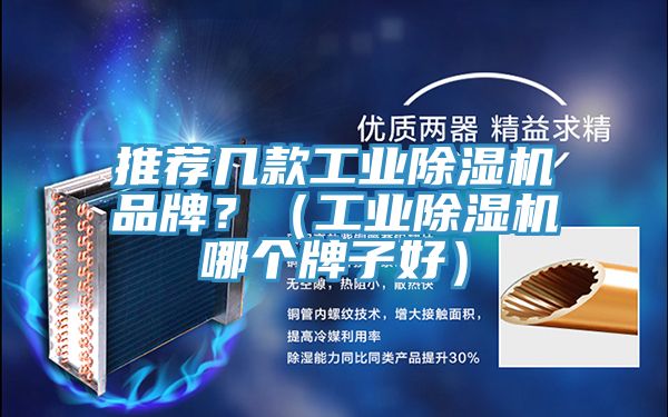推薦幾款工業(yè)除濕機品牌？（工業(yè)除濕機哪個牌子好）