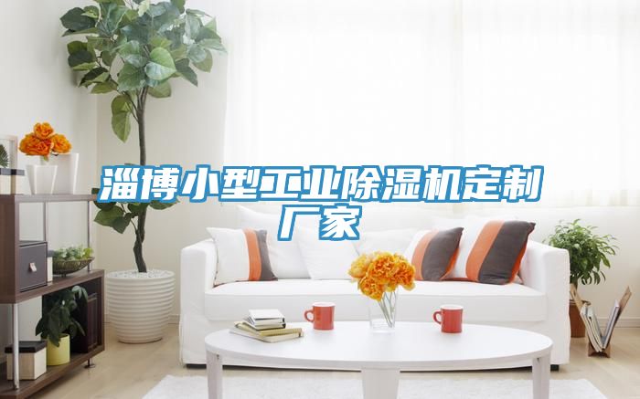 淄博小型工業(yè)除濕機定制廠家