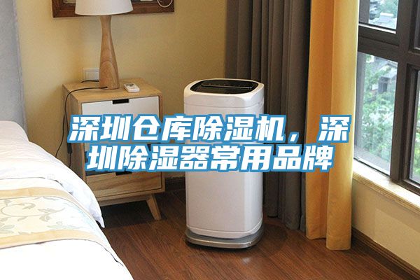 深圳倉庫除濕機(jī)，深圳除濕器常用品牌