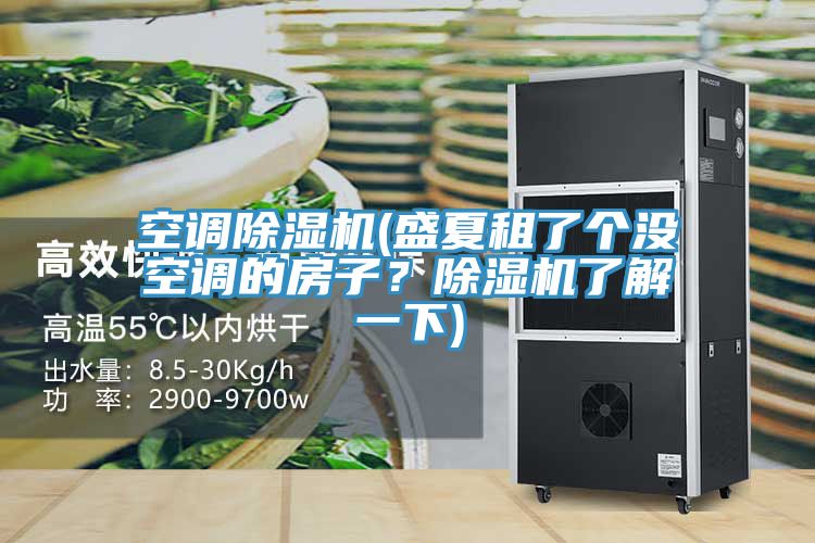 空調(diào)除濕機(盛夏租了個沒空調(diào)的房子？除濕機了解一下)