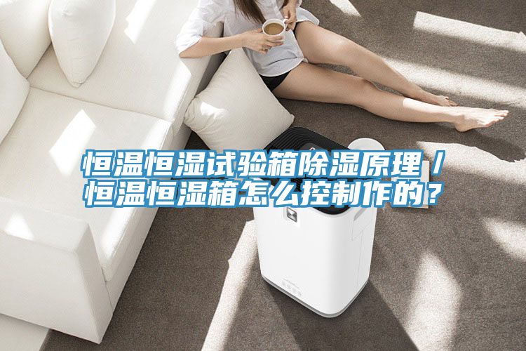 恒溫恒濕試驗(yàn)箱除濕原理／恒溫恒濕箱怎么控制作的？