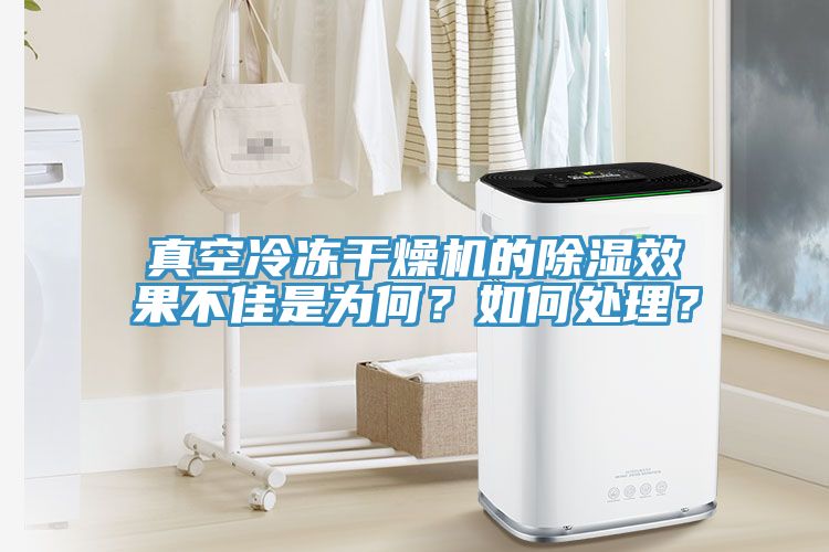 真空冷凍干燥機(jī)的除濕效果不佳是為何？如何處理？