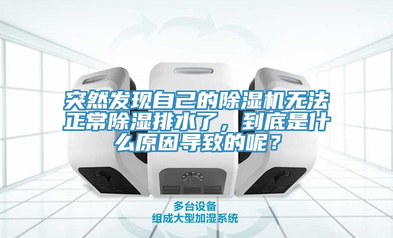 突然發(fā)現(xiàn)自己的除濕機(jī)無法正常除濕排水了，到底是什么原因?qū)е碌哪兀?></div>
								<div   id=