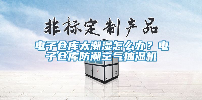 電子倉庫太潮濕怎么辦？電子倉庫防潮空氣抽濕機