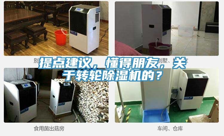 提點(diǎn)建議，懂得朋友，關(guān)于轉(zhuǎn)輪除濕機(jī)的？