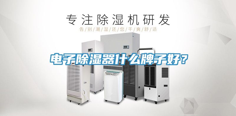 電子除濕器什么牌子好？