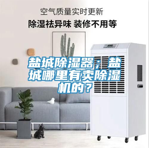 鹽城除濕器；鹽城哪里有賣除濕機(jī)的？