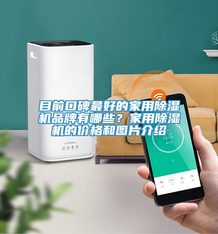 目前口碑最好的家用除濕機(jī)品牌有哪些？家用除濕機(jī)的價格和圖片介紹