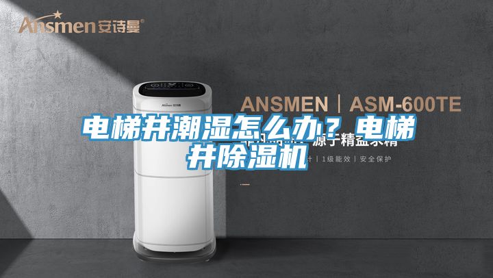電梯井潮濕怎么辦？電梯井除濕機(jī)