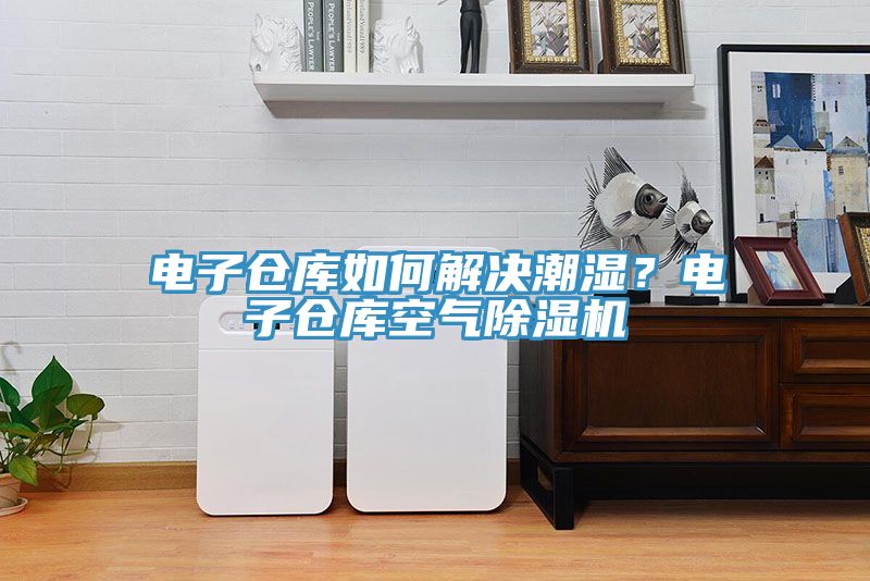 電子倉庫如何解決潮濕？電子倉庫空氣除濕機(jī)