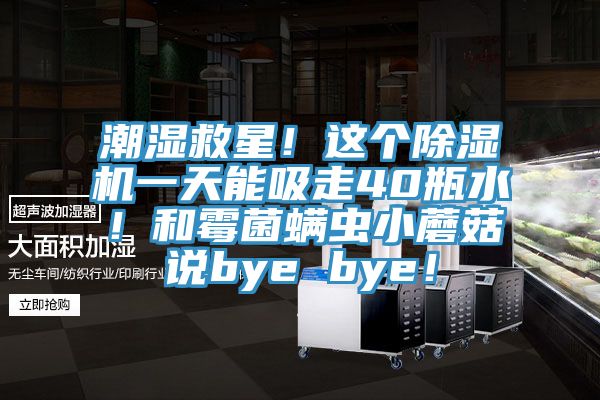 潮濕救星！這個(gè)除濕機(jī)一天能吸走40瓶水！和霉菌螨蟲小蘑菇說bye bye！