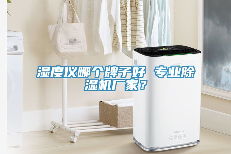 濕度儀哪個(gè)牌子好 專(zhuān)業(yè)除濕機(jī)廠家？