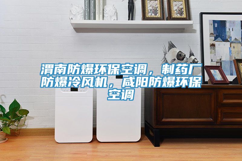 渭南防爆環(huán)?？照{(diào)，制藥廠防爆冷風(fēng)機(jī)，咸陽防爆環(huán)?？照{(diào)
