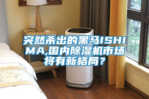 突然殺出的黑馬ISHIMA,國內(nèi)除濕機(jī)市場將有新格局？
