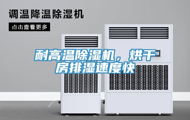 耐高溫除濕機(jī)，烘干房排濕速度快