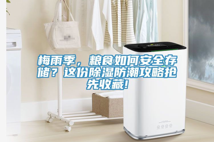 梅雨季，糧食如何安全存儲(chǔ)？這份除濕防潮攻略搶先收藏!