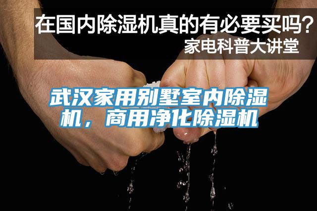 武漢家用別墅室內(nèi)除濕機(jī)，商用凈化除濕機(jī)