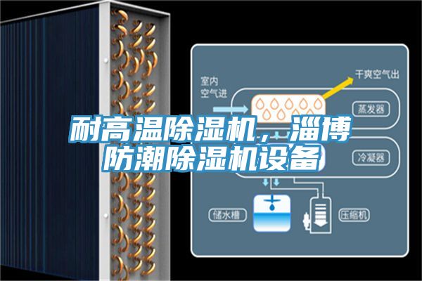 耐高溫除濕機(jī)，淄博防潮除濕機(jī)設(shè)備
