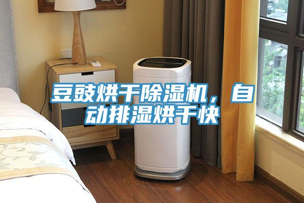 豆豉烘干除濕機，自動排濕烘干快