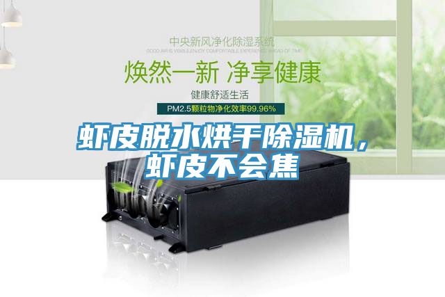 蝦皮脫水烘干除濕機(jī)，蝦皮不會(huì)焦