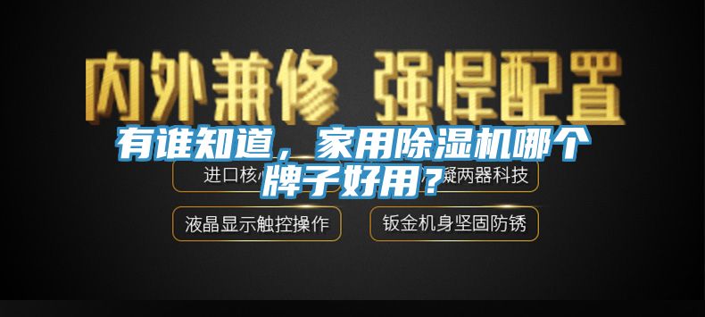 有誰知道，家用除濕機哪個牌子好用？
