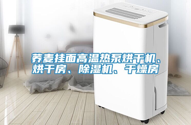 蕎麥掛面高溫?zé)岜煤娓蓹C、烘干房、除濕機、干燥房