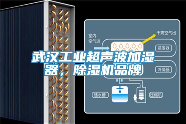 武漢工業(yè)超聲波加濕器，除濕機(jī)品牌
